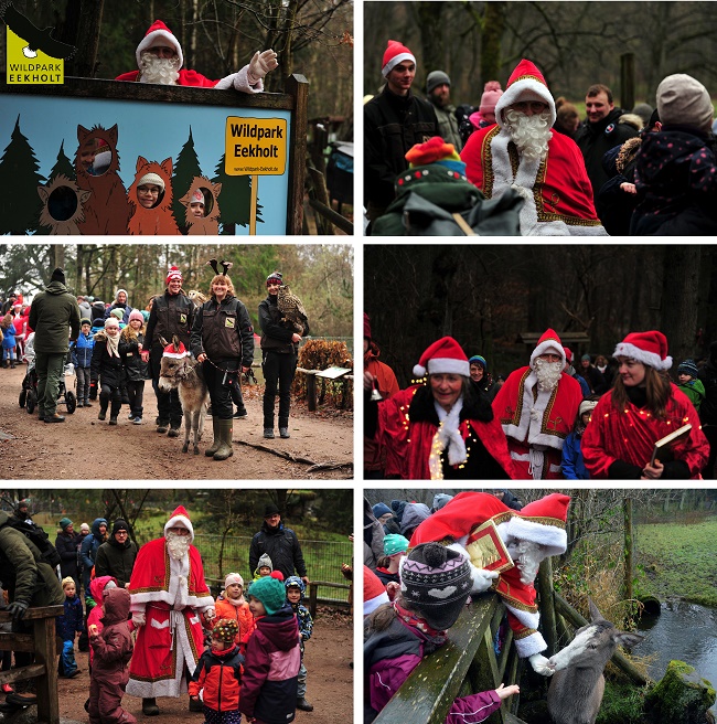 Wildweihnacht in Eekholt!